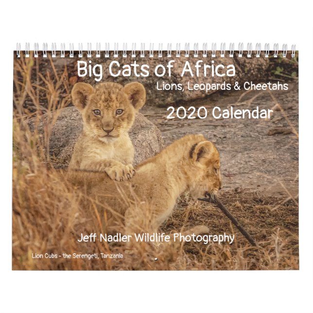 Stora katter av Afrika: Lejon, Leopards 2020 Kalender (Omslag)