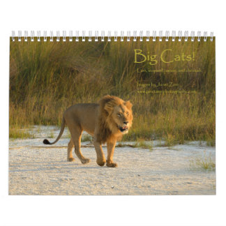 Stora katter! Lejont Leopard, Cheetah, Kalender