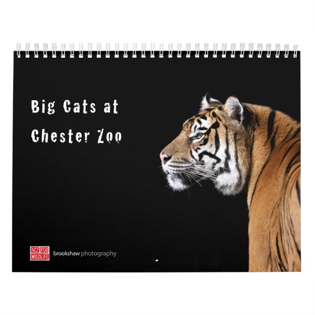 Stora katter på den Chester Zookalendern Kalender (Omslag)