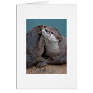 Stora kramar OBS kort