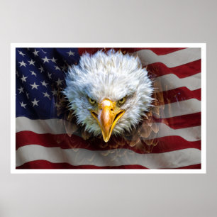 Stora, mäktiga, USA-agle-FLAGGA Poster
