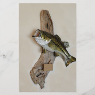 stora munbasar flygblad