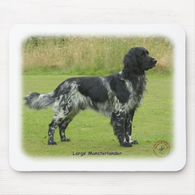 Stora Munsterlander Musmatta (Framsidan)
