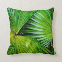 Stora och ljusa löv från tropikernan