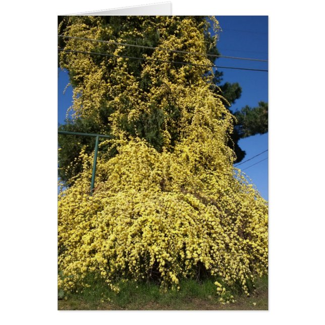 Stora överodlade Gula blommor Hälsningskort (Framsidan)