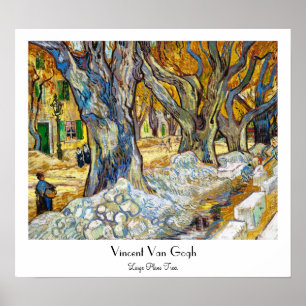 Stora platan av Vincent Van Gogh Poster