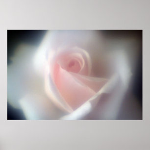 Stora Poster/utskrift i Rosa ros Poster