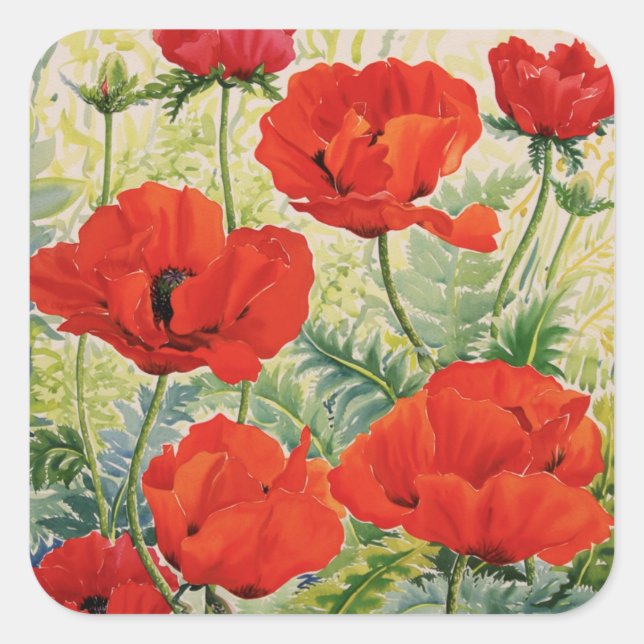 Stora röda poppies fyrkantigt klistermärke (Framsida)