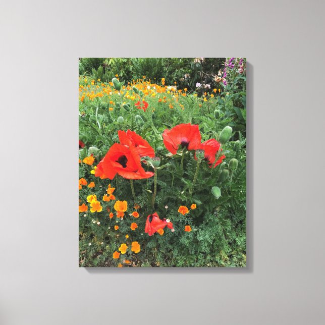 Stora röda poppies på engelska Garden Canvastryck (Framsida)