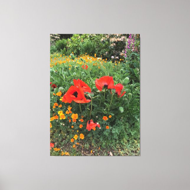 Stora röda poppies på engelska Garden Canvastryck (Framsida)