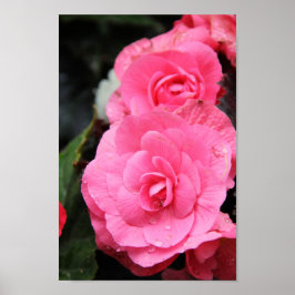 Stora rosa blommor på vår-dagen poster