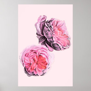 Stora rosa blommor Vintagekonstaffisch Poster