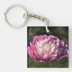 Stora rosa peonblommor på vår-dagen