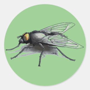 Stora, runda klistermärken i Fly Buddy-grönten