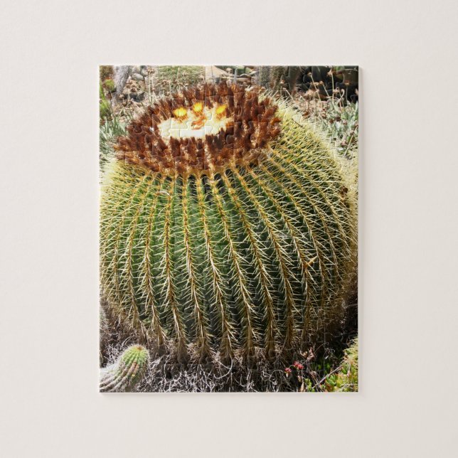 Stora runda prickly Cactus Pussel (Vertikal)