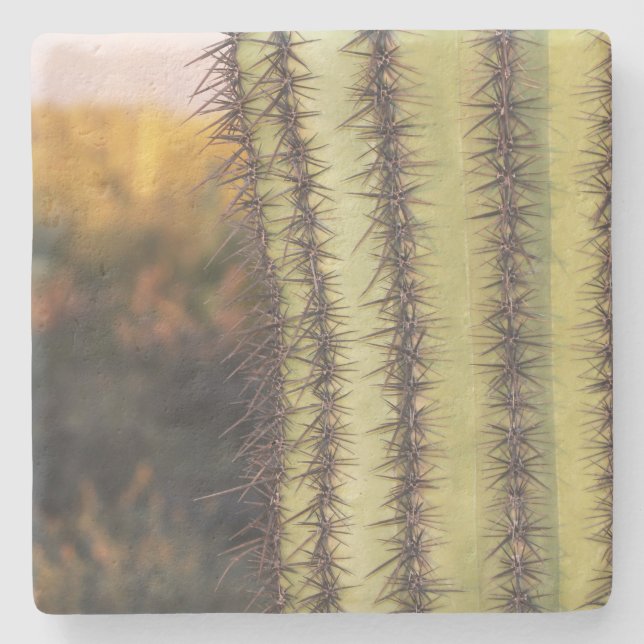 Stora Saguaro Cactus,Arizona, underlägg med kvadra (Framsidan)