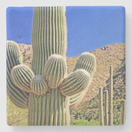 Stora Saguaro Cactus,Arizona, underlägg med kvadra