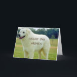 STORA "STORA ÖNSKEMÅL" PÅ DIN "FÖDELSEDAG" KORT<br><div class="desc">TACK FÖR ATT DU VILLE TITTA IN I EN AV MINA ÅTTA BUTIKER!!!!</div>