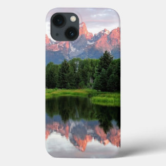 Stora Teton-reflektioner över Beaver-dammen