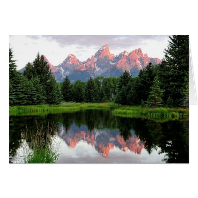 Stora Teton-reflektioner över Beaver-dammen Hälsningskort (Framsidan Horizontal)