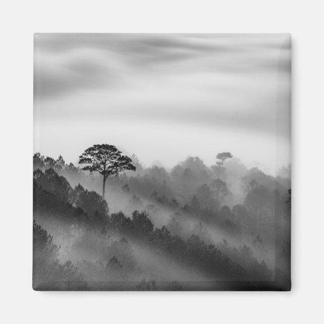 Stora Träd i Gräs-skogen på Mist Magnet (Framsidan)