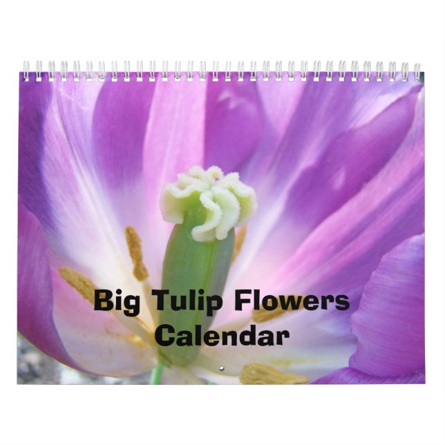 Stora Tulpan Blommor Kalender Natur Blommig Färgri (Omslag)