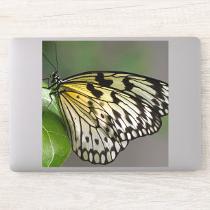 Stora vinylpåsar med en Anpassningsbar på 8 x 8 tu Klistermärken