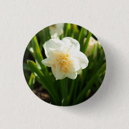 Stora vita daffodier på en vår-dag knapp