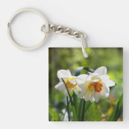 Stora vita narcissus på en vårdag 