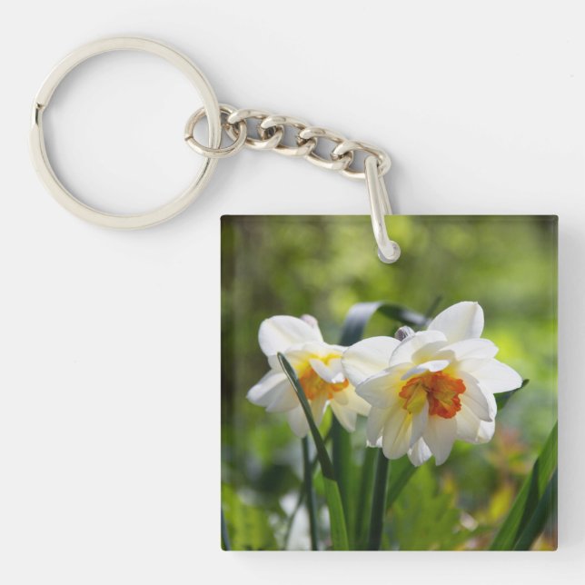Stora vita narcissus på en vårdag  (Framsidan)