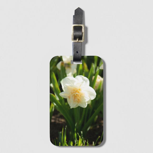 Stora vita narcissus på en vårdag   bagagebricka (Framsida vertikal)