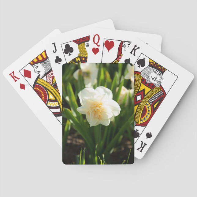 Stora vita narcissus på en vårdag   casinokort (Baksidan)