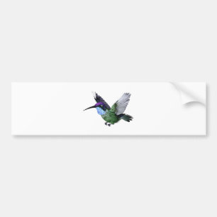 Storartad Hummingbird Bildekal