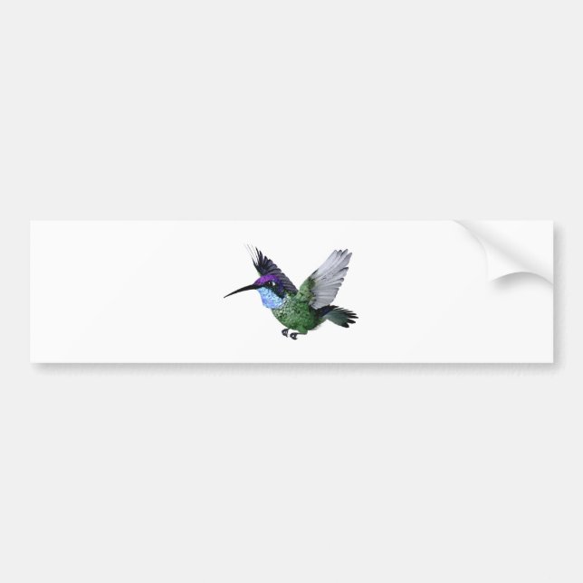 Storartad Hummingbird Bildekal (Framsidan)