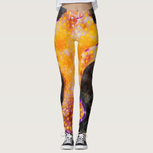 Storartad Nudibranch damasker Leggings