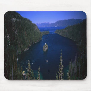 Storartad smaragdfjärd i Lake Tahoe Nevada, Musmatta