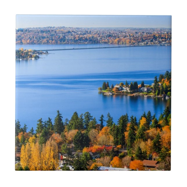 Storartade färger av nedgången på Bellevue Kakelplatta (Framsidan)