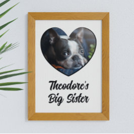 Storasyster för hund av personliger poster