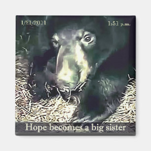 Storasysterhoppmagnet Magnet