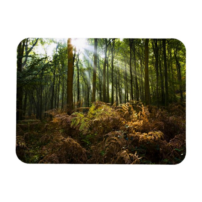 Storbritannien, England. Solstrålar som strömmar g Magnet (Horisontell)