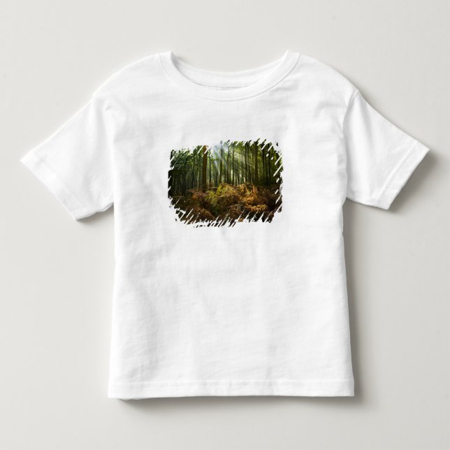 Storbritannien, England. Solstrålar som strömmar g T Shirt (Framsida)