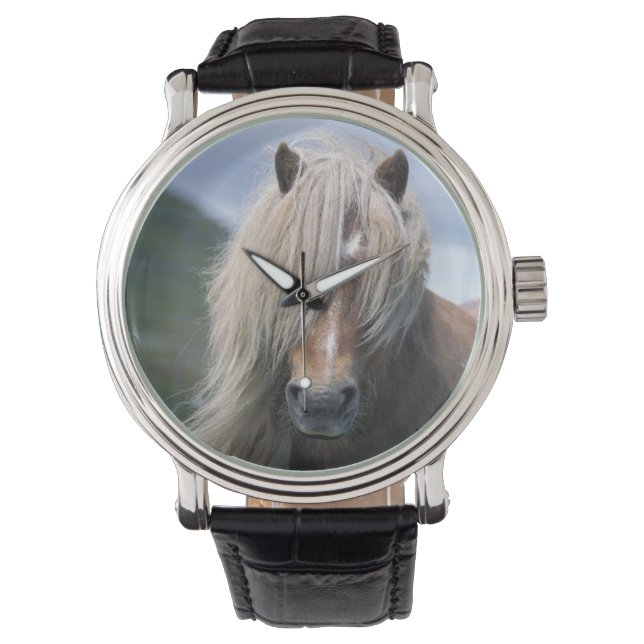 Storbritannien, Skottland, Shetlandsöarna, Shetlan Armbandsur (Framsida)