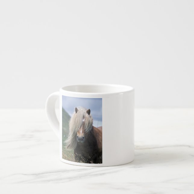 Storbritannien, Skottland, Shetlandsöarna, Shetlan Espressomugg (Framsida vänster)