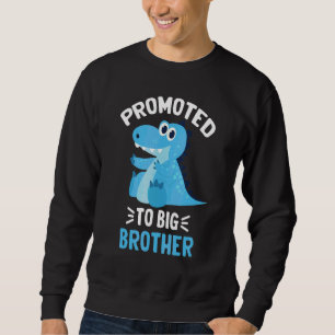 storebror dinosaur 2023 Pojkar babybror Lång Ärmad Tröja