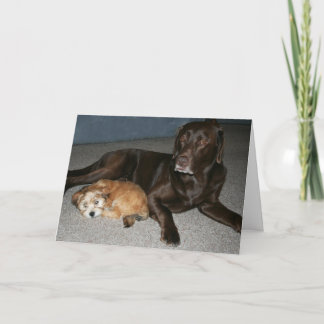 Storebrorfödelsedagkort Kort