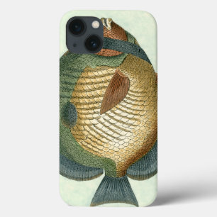 Storfärgad fisk