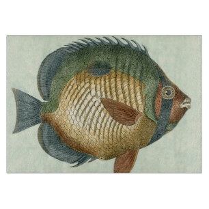 Storfärgad fisk