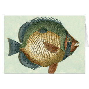 Storfärgad fisk hälsningskort