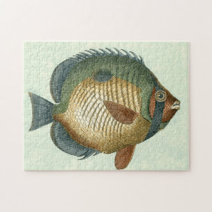 Storfärgad fisk pussel