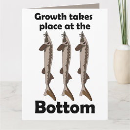 Störfisk bottenlevande inspirerande citat kort